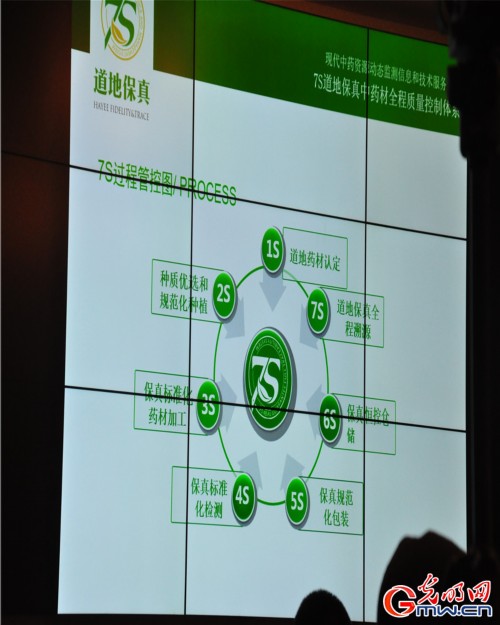 探秘一顆神奇的植物—云三七